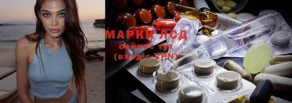 мескалин Богданович