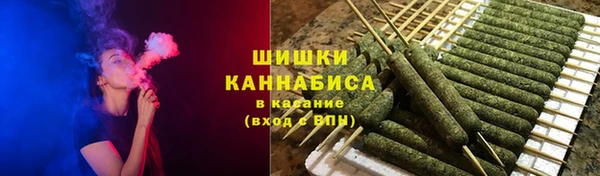 спиды Бородино