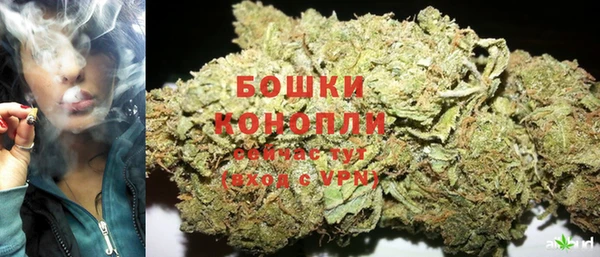 спиды Бородино