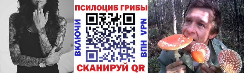 закладки  Бирск  Псилоцибиновые грибы GOLDEN TEACHER 